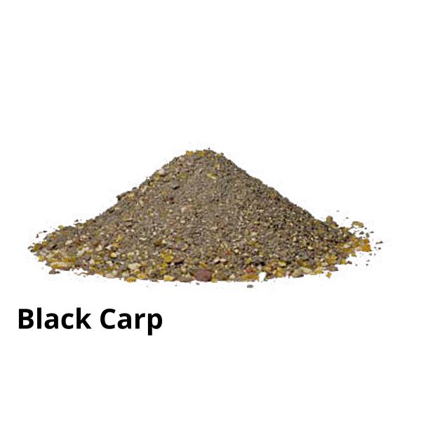 Carp Fiesta Angelfutter 1kg – Hochattraktives Karpfenfutter für erfolgreiches Angeln
